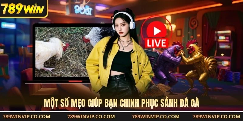 Một số mẹo giúp bạn chinh phục sảnh đá gà
